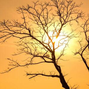 itanhaem:-verao-invade-o-inverno-no-litoral-de-sp,-mas-vem-surpresa-na-noite-de-segunda