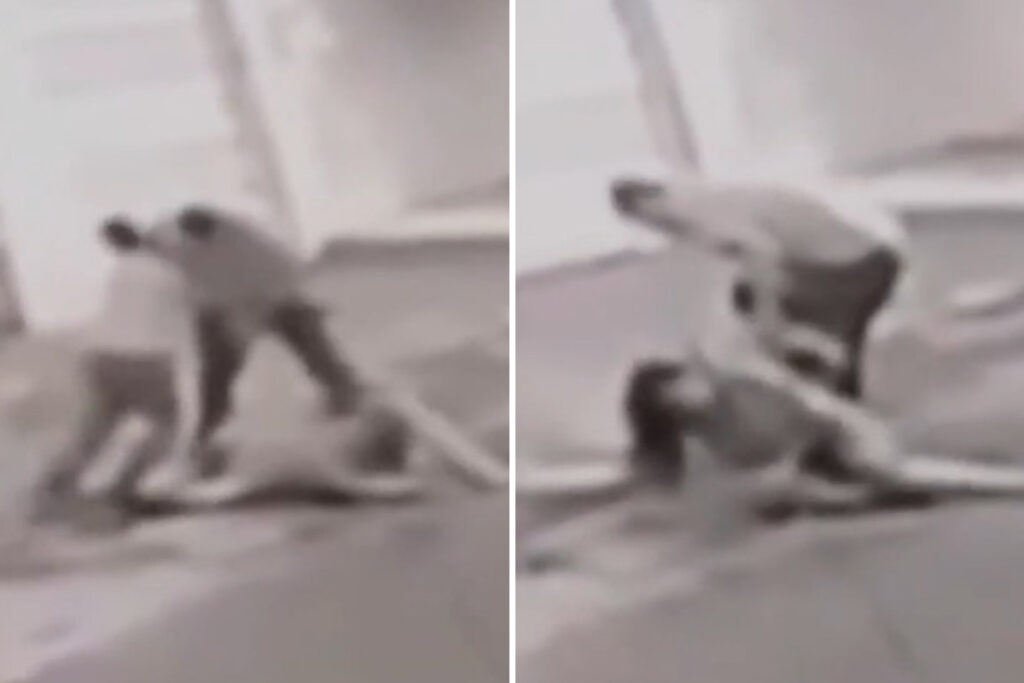 video.-marido-atropela-mulher-e-filho-tenta-impedir-mais-agressoes