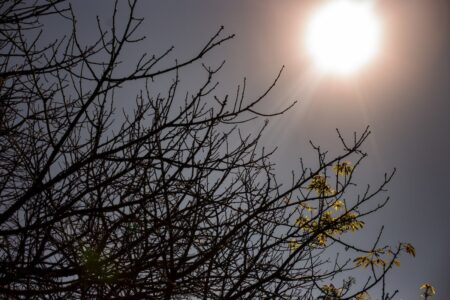 mais-quente:-agosto-marca-virada-do-clima-no-brasil.-entenda