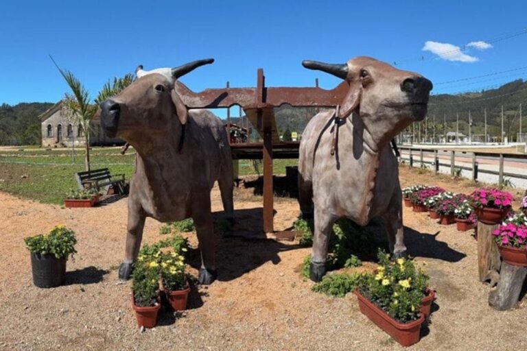 sc:-cidade-com-4-mil-habitantes-pode-entrar-no-guinness-book.-entenda