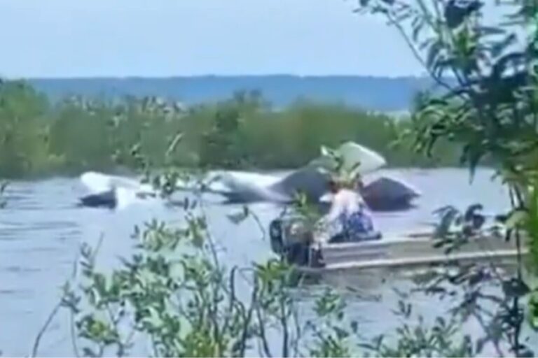 am:-aviao-cai-no-rio-negro-e-banhistas-ajudam-a-salvar-sobreviventes.-video