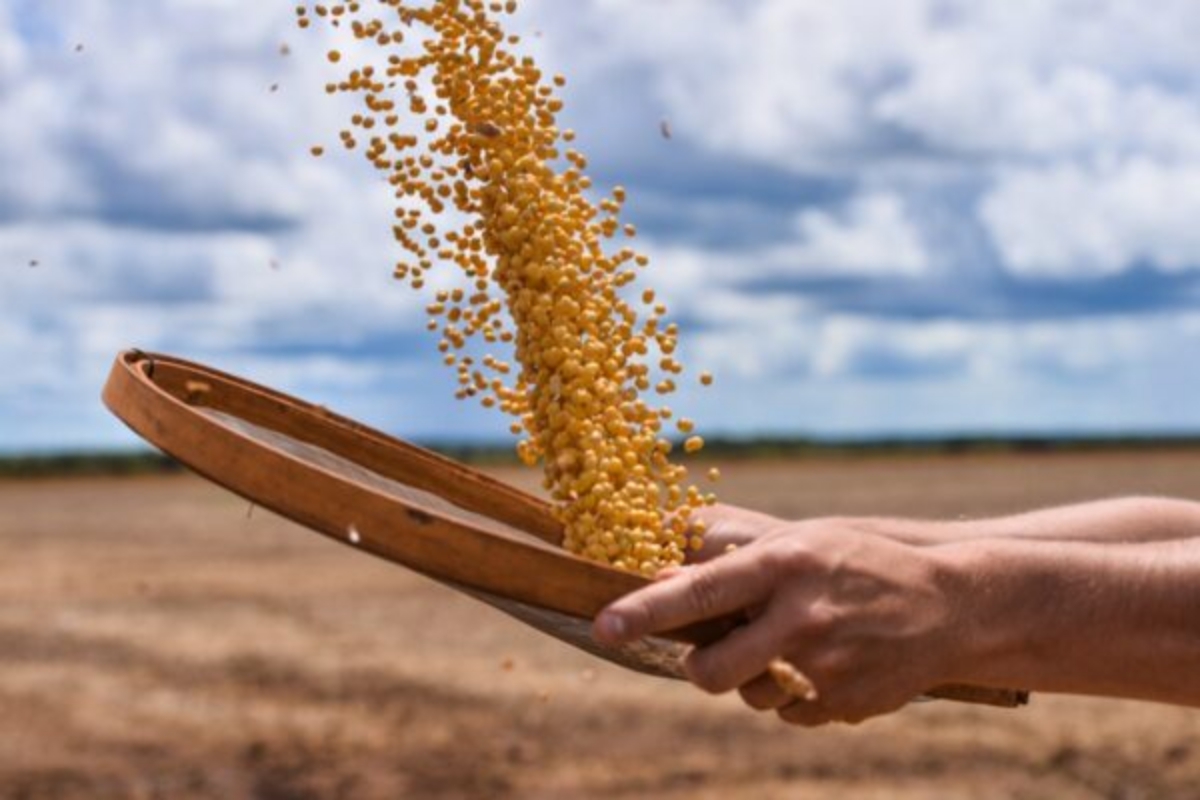 deputados-de-goias-aprovam-o-fim-da-“taxa-do-agro”